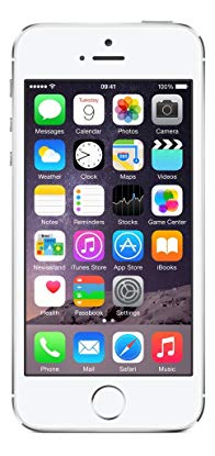 Apple iPhone 5S 16 GB Unlocked, Silver